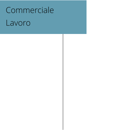 Commerciale Lavoro